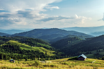 Fototapeta premium Landscapes - Forest - Europe, Romania, Suceava region