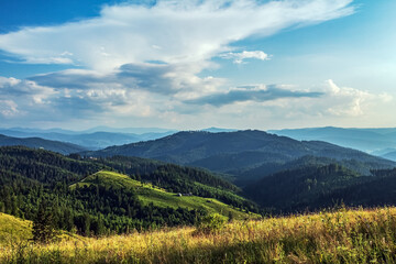 Landscapes - Forest - Europe, Romania, Suceava region