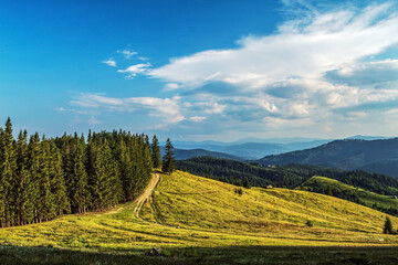 Landscapes - Forest - Europe, Romania, Suceava region