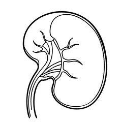 Bud. Internal organs. Icon on a white background. One line