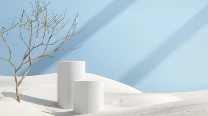 Minimalist Product Display with White Cylinders and a Bare Branch Tree in a White Sandscape