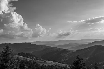 Landscapes - Forest - Europe, Romania, Suceava region