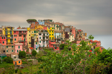 Obraz premium Colorful village of Corniglia upon a hill, Cinque Terre, Liguria, Italy