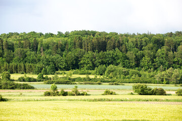 Zielone pola i las na wzgórzu. © Stanisław Błachowicz