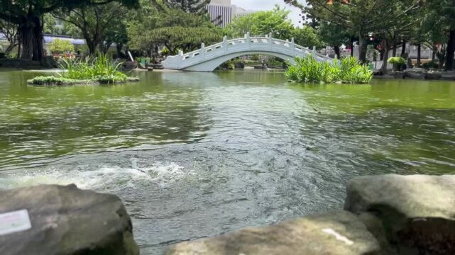 waterfall in the park