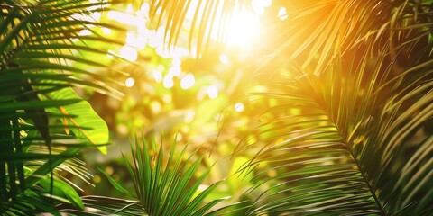 Obraz premium Sun Rays Through Palm Leaves
