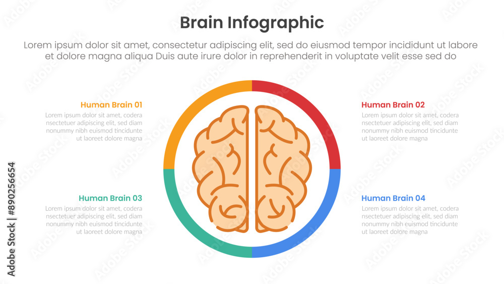 Poster human brain infographic template banner with human brain top view with line style on circle matrix w