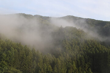 Fototapeta premium 霧に包まれた群馬県の山間