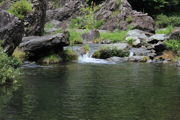 三波石峡の穏やかな流れ