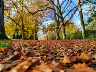 Fallen leaves blanket a path under the canopy of an autumn forest. Generative AI