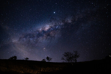 View of the center of the Milky Way with trees, araucaria and mountains in silhouette