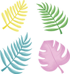 Fototapeta premium Leaves come in many different shapes and colors.