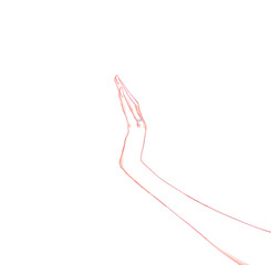 薬指に指輪をした女性の手