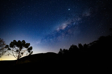 View of the center of the Milky Way with trees, araucaria and mountains in silhouette