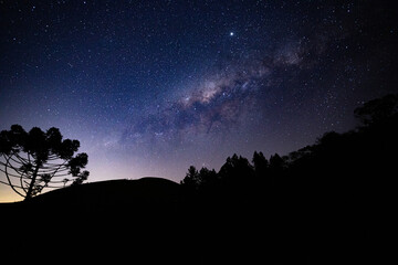 View of the center of the Milky Way with trees, araucaria and mountains in silhouette