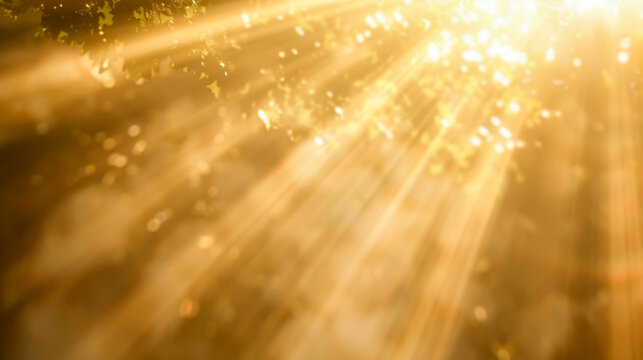 Golden rays of sunlight filter through leaves in a minimalistic background. Symbolizes hope and warmth. Ideal for inspirational or natural themes.