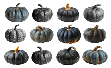 Set with black Pumpkins isolated on white background, ripe fresh vegetable side view. Halloween, Thanksgiving. Design, food, template, nature and fall theme.