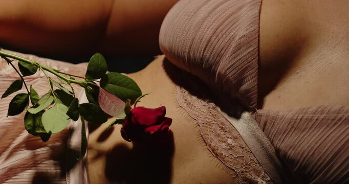 A beautiful red rose teasingly caressing the beautiful body of an attractive woman dressed in sexy lingerie