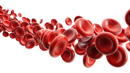 Red blood cells flowing like ripe cherries, isolated on white background