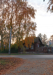 View of an old wooden house at sunset in autumn