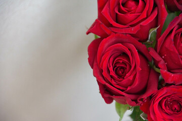 赤い薔薇