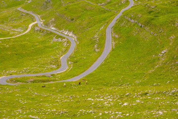 A road passing through a lush grassy field under the open sky