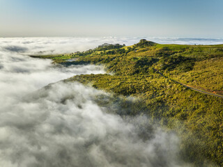 Aerial view of idyllic scenic Fanal Laurisilva forest with centuries-old til trees with road above...
