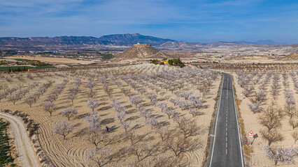 Aerial view of the flowering almond tree in Mula, Region of Murcia, Spain
