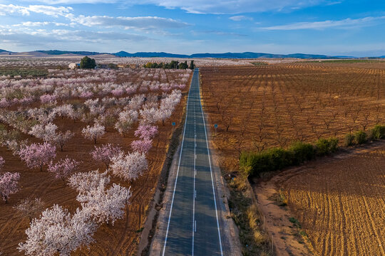 Aerial view of the flowering almond tree in Mula, Region of Murcia, Spain