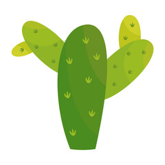 garden plant desert flower green cactus vector illustratin