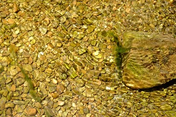 Beautiful mountain river with transparent water as background, closeup