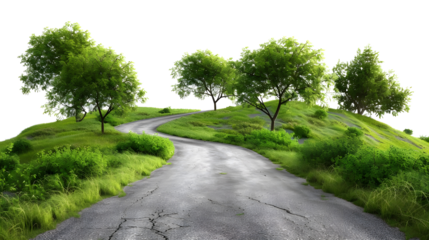 Winding forest road isolated on transparent background