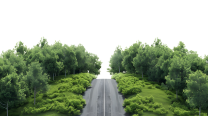 Road through lush forest, white background isolated on transparent background