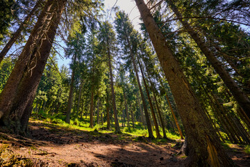 landscape with the rural area in the mountains of Maramures in Romania.