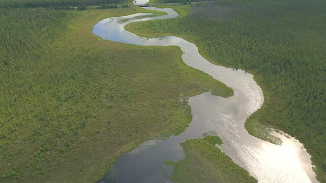 Aerial drone footage of a winding river meandering through a lush forest landscape.