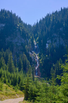 landscape with the Cailor waterfall in the Rodnei Mountains, Romania, the second highest waterfall in the country.