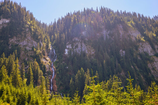 landscape with the Cailor waterfall in the Rodnei Mountains, Romania, the second highest waterfall in the country.