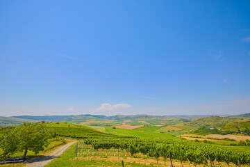 landscape with the rural area in the mountains of Maramures in Romania.