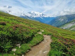 Picturesque view of the Mont Blanc mountain and glacier while hiking Tour du Mont Blanc. Popular tourist attraction. Alps, Chamonix-Mont-Blanc, France, Europe.
