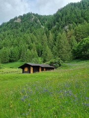 Savoie, France. Traditional stone farm houses with at French Alps.
