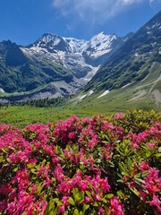 Fototapeta premium Amazing panorama of French Alps, part of famous trek - Tour du Mont Blanc 