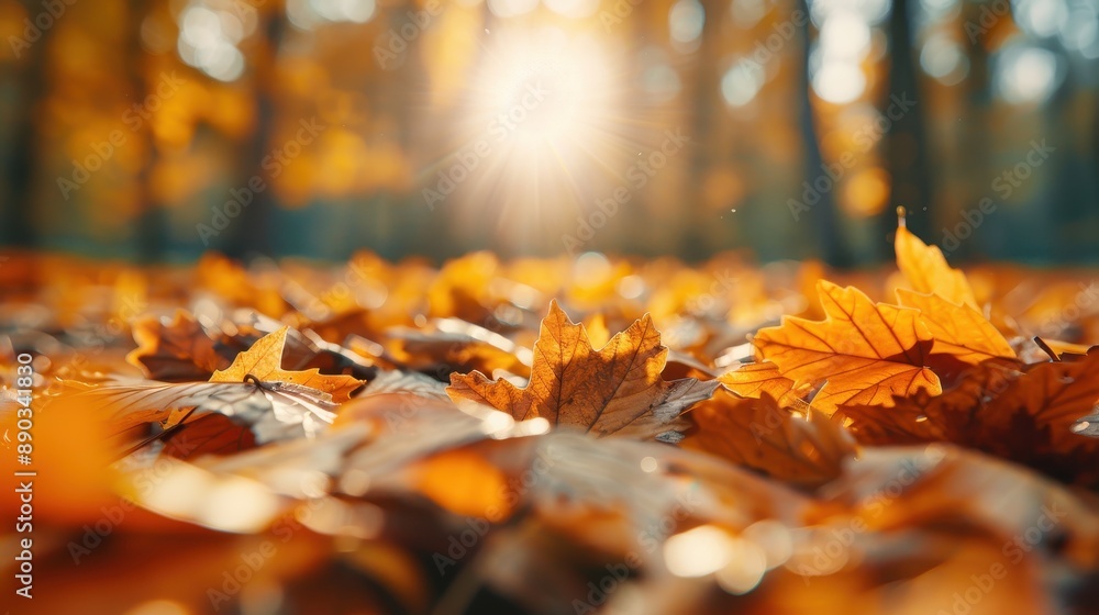Poster a composition of rustling autumn leaves captures the golden hour light filtering through the trees, 