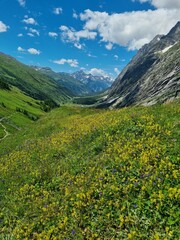 Picturesque panoramic view of the snowy Alps mountains and meadows while hiking Tour du Mont Blanc. Popular hiking route. Alps, Chamonix-Mont-Blanc region, France, Europe.
