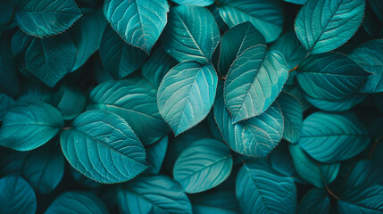 Turquoise leaves, creating a rich and detailed botanical texture.