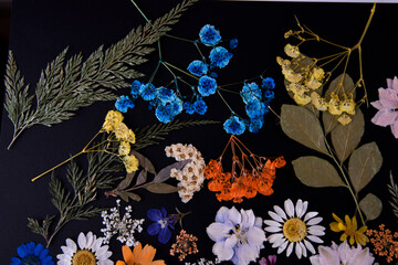 Dried pressed flower design close up