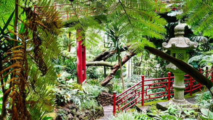 Im Jardim Tropical Monte Palace in Funchal, Madeira