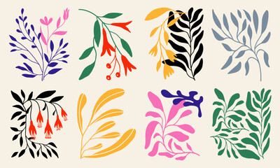 Collection of flowers and leaves