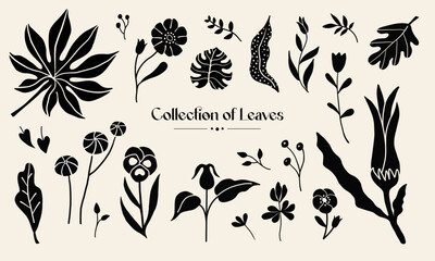 Collection of flowers and leaves