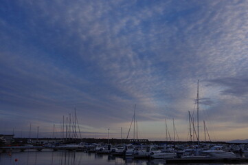 sunset in the harbor