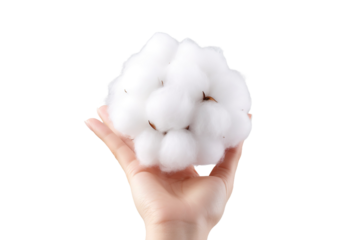 The Ethereal Embrace on White or PNG Transparent Background.